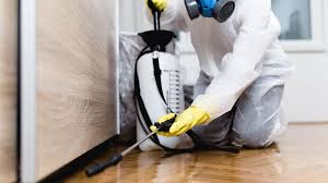 Best Residential Pest Control  in Absecon Highlands, NJ